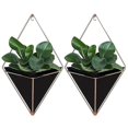 thumbnail image 1 of 2 Pcs/set Hanging Vases Geometric Wall Decoration Container For Succulent Plants Mini Cactus, 1 of 4