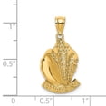 thumbnail image 2 of Solid 14k Yellow Gold 2-D AVALON Under Conch Shell Charm Souvenir Pendant - 26mm x 14mm, 2 of 3
