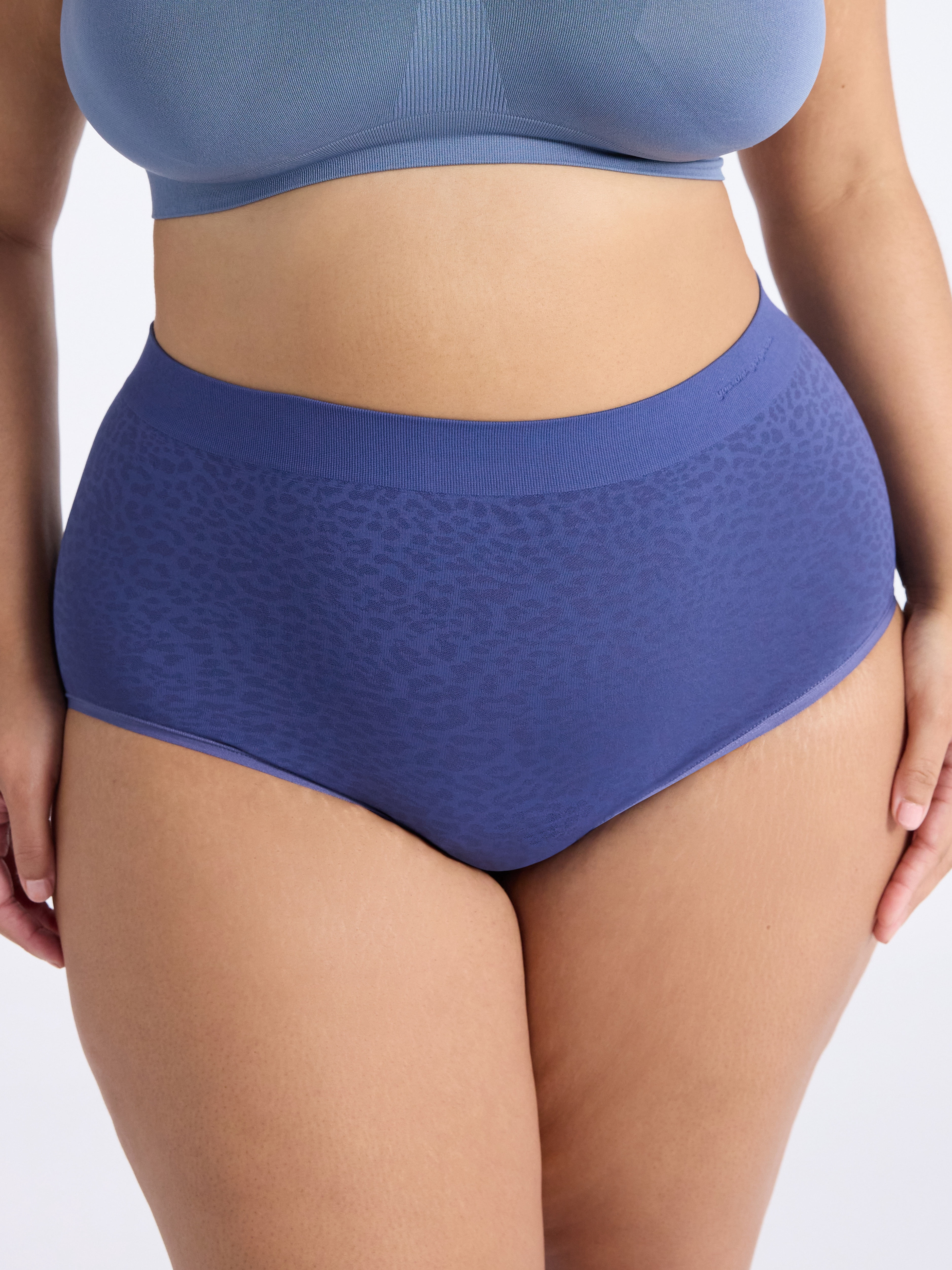 Joyspun Women's Plus Seamless Brief Panties, 3-Pack, Sizes 1X-5X