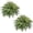 Green 50" 96 2PACK, variant on CQURE 42-Inch Artificial Boston Fern Plants, 48 Fronds Realistic Fake Bushes for Indoor & Outdoor Decor, 2 Pack