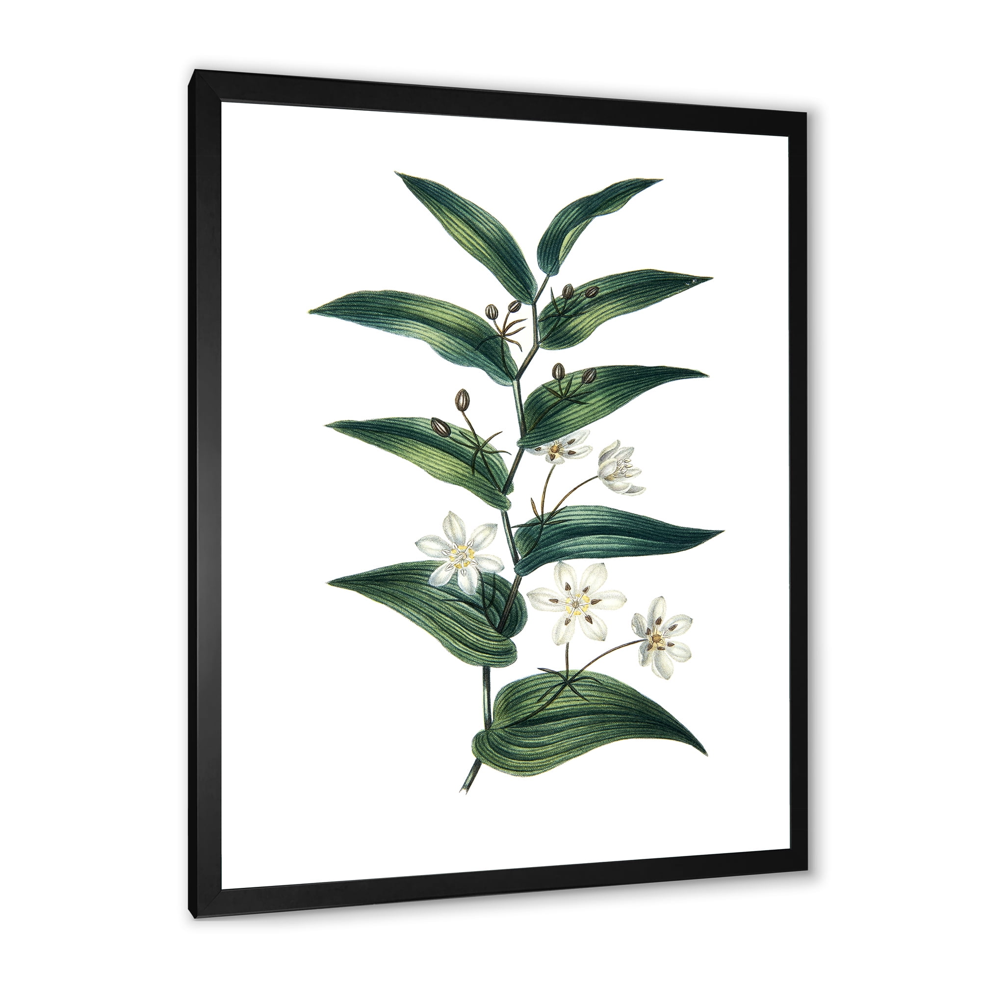 Designart 'Little White Flowers With Ancient Plant' Farmhouse Framed Art Print