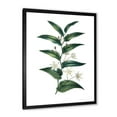 thumbnail image 2 of Designart 'Little White Flowers With Ancient Plant' Farmhouse Framed Art Print, 2 of 4