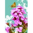 thumbnail image 2 of Evalia Designs 11x14 Gold Ornate Wood Framed with Double Matting Museum Art Print Titled - Skipper on Flox, 2 of 4