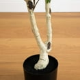 thumbnail image 5 of Nearly Natural 5ft. Artificial Birch Tree with Real Touch Leaves, 5 of 7