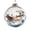 Clear, variant on Liamobondopolis Glowing Christmas Story Ornament, Artistic Paper-Cut Winter Landscape with Husky and Snowy Pines, Glowing Christmas Ornament for Contemporary Holiday Home Decor