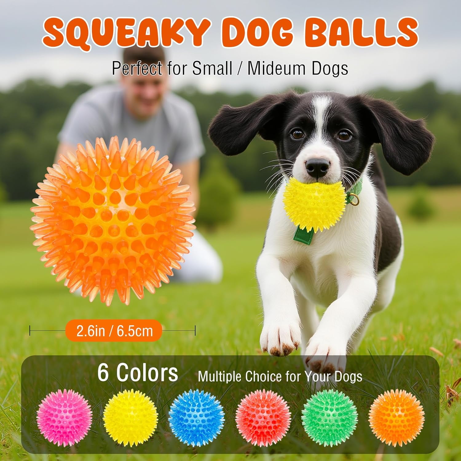2.6” Heavy Duty Squeaky Balls for Dogs 6 Pack Puppy Chew Toys for Teething TPR Fetch Spike Dog Balls Dog Chew Toys for Small and Mideum Breed