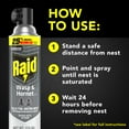 thumbnail image 5 of Raid Wasp & Hornet Killer, Outdoor Flying Insect Spray, 17.5 oz, 5 of 13