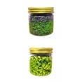 thumbnail image 1 of Kit de Decoración con Hojas Sintéticas para Paisajes en Miniatura, 1 of 7