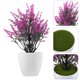 thumbnail image 1 of unbranded 2Ud Adorno Bonsái Artificial Violet Para Hogar Oficina Oficina Fácil Mantenimiento, 1 of 4