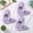 Purple (3 Pack), variant on Unisex EVA Thin Sole Slippers, Anti-Slip Coral Fleece, Machine Washable, 3 Pairs for Home, Hotel, Guest Use