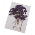 thumbnail image 1 of GUOOL Natural Dried Real Babysbreath Flower Set Assorted Colorful For Art Glass Crafts, 1 of 9