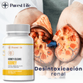thumbnail image 4 of Kidney Cleans | Salud Renal y Limpieza de Riñones | Eliminación de Toxinas y Bienestar Urinario | 100 Cápsulas, 4 of 6