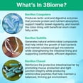 thumbnail image 5 of 3Biome - Natural Probiotic Supplement - Non-GMO, Vegan, Gluten-Free, 5 of 10