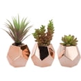 thumbnail image 3 of MyGift Artificial Succulents in Modern Rose Gold-Tone Geometric faceted Planters, Set of 3, 3 of 5