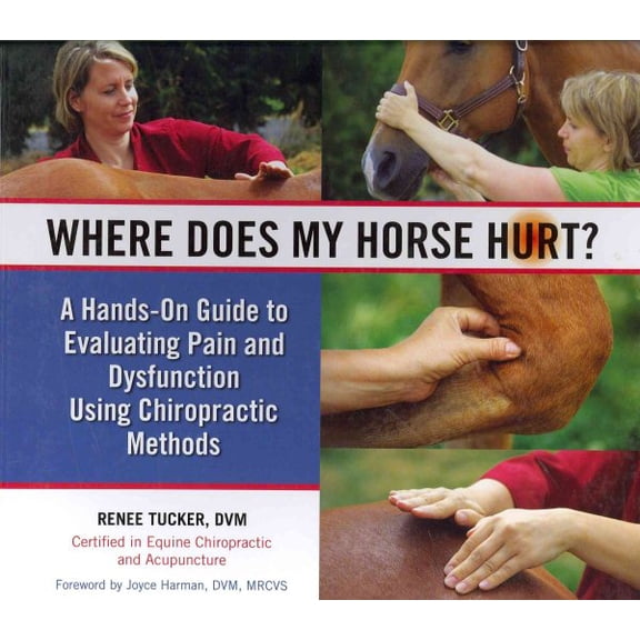 Where Does My Horse Hurt? : A Hands-On Guide to Evaluating Pain and Dysfunction Using Chiropratic Methods (Hardcover)