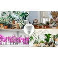 thumbnail image 6 of SANSI 10W=150W PAR20 LED Grow Light Bulb, Full Spectrum Plant Light Lamp, E26 Base, 3 Pack, 6 of 8