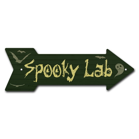 SignMission P-ARROW10-999597 10 x 30 in. Wide Spooky Lab Arrow Sign