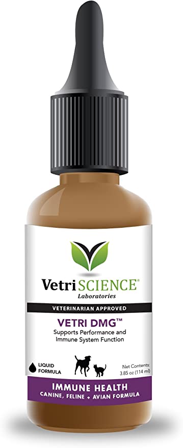 vetri dmg liquid side effects vetri dmg liquid side effects