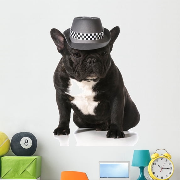 Cute French Bulldog Wall Mural by Wallmonkeys Peel and Stick Graphic (48 in H x 46 in W) WM300223