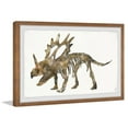 thumbnail image 2 of Marmont Hill Styracosaurus Skeleton Framed Wall Art, 36.00" x 1.50", 2 of 5