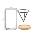 thumbnail image 4 of 3 Pack Avocado Tree Growing Kits, Glass Avocado Seed Vase, 4 of 5