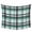 Green, variant on Pink Black Plaid Tapestry for Bedroom Wall Hanging Tapestry, Farmhouse Pink Black Checkered Ceiling Backdrop Tapestries Poster Blanket Wall Decor for Teens Room Living Room Dorm 59" x 79"