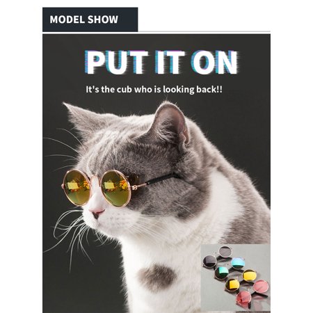 Beautiful De Lunettes De Chat Lunettes De Chien Lunettes De Compagnie Produits De Chat Jouet Chien Lunettes De Soleil Photos Accessoires Pour Animaux De Compagnie Lunettes Rondes Walmart Canada