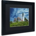 thumbnail image 2 of Trademark Fine Art 'Cape Cod Light' Canvas Art by Michael Blanchette Photography Black Matte, Black Frame, 2 of 4