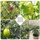 thumbnail image 1 of Red de Enrejado de Jardín de 40 cm Red de Soporte para Plantas de Jardín de Alta Resistencia Red de Enrejado de Pepino de Cultivo de Plantas Trepadoras, 1 of 5