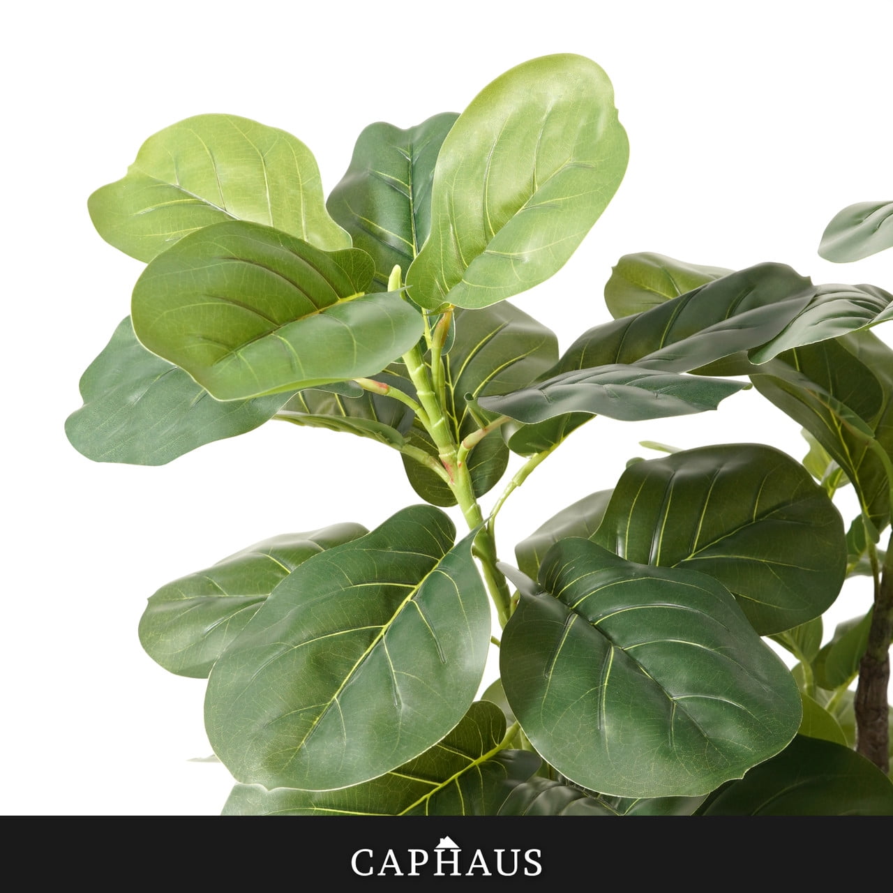 CAPHAUS Artificial Fiddle Leaf Fig Tree, 6 / 7 Feet in Pot with Dried Moss, for Indoor House Home Office Store, Potted Ficus Lyrata Faux Tree, Fake Plant Modern Decoration Gift for Housewarming