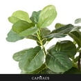 thumbnail image 4 of CAPHAUS Artificial Fiddle Leaf Fig Tree, 6 / 7 Feet in Pot with Dried Moss, for Indoor House Home Office Store, Potted Ficus Lyrata Faux Tree, Fake Plant Modern Decoration Gift for Housewarming, 4 of 9