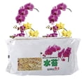 thumbnail image 2 of Liquen seco 6L Jardín Sphagnum Musgo Fibra larga Sphagnum Musgo Orquídea Sphagnum Musgo para flores Planta de jardinería Orquídea Phalaenopsis ANGGREK Otros, 2 of 7