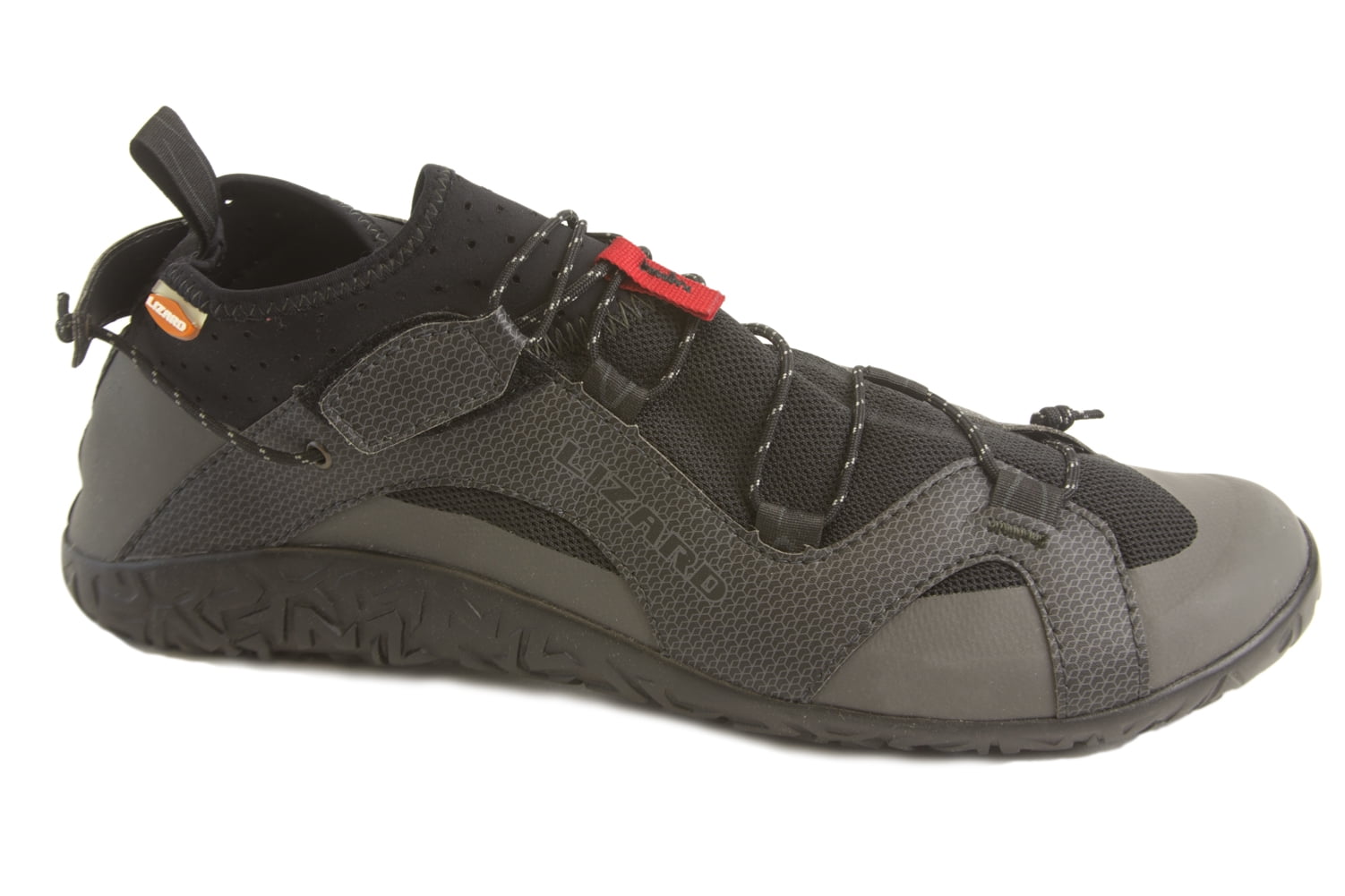 lizard shoes