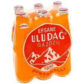 Orange & Fruit Soda | Walmart Canada