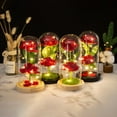 thumbnail image 4 of BKER Two Roses Glass Cover LED Atmosphere Lamp Creative Decoration For Girlfriend On Valentine's Day Rose Lamp, 4 of 5