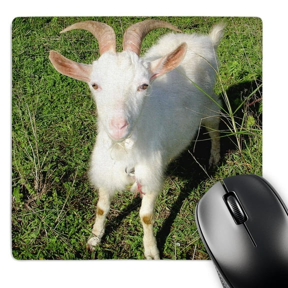 3dRose, Farm Animals Goat, MousePad