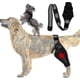 thumbnail image 2 of Dog Elbow and Shoulder Support for Dysplasia and Arthritis, 2 of 5