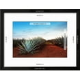 thumbnail image 3 of Agave Tequila Landscape to Guadalajara, Jalisco, Mexico., Botanical Framed Art Print Wall Art by Jesus Cervantes Sold by Art.Com, 3 of 6