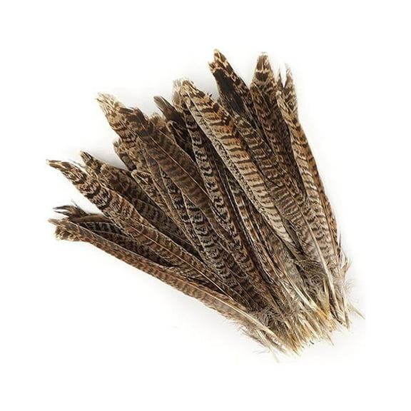 Zucker Feather Products Female Ringneck Pheasant Tails - Natural - 6 - 8" - 100 pcs