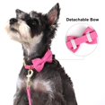 thumbnail image 3 of Juego de arneses para perros Beirui Cute, extra pequeño, con 3 lazos, color rosa intenso, 3 of 6