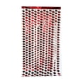 thumbnail image 2 of Class Of 2026 Graduation Foil Fringe Curtains Party Streamer Supplies For Senior Grad Party Wall Door Decor For 2026 Graduation Decoration, 2 of 6