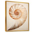 thumbnail image 2 of Designart "Curves Of Copper In Nautilus Spiral I" Nautilus Floater Framed Canvas Prints, 2 of 5