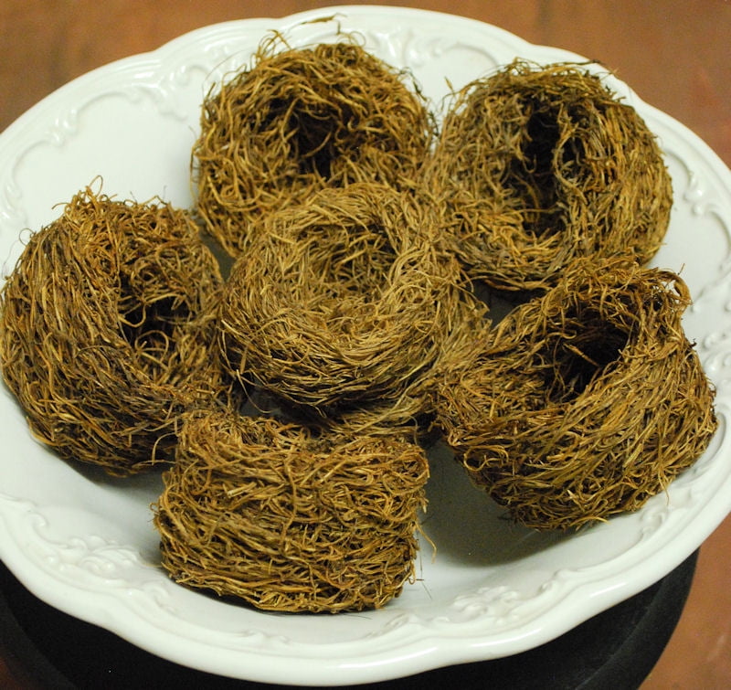 Dried Natural Light brown Moss Bird Nests 6 Nest Diameter 4in. Case of 8 bunches Natural