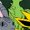 FOREST GREEN, variant on Pokémon - Eevolutions Men's Graphic Fleece Sweatshirt