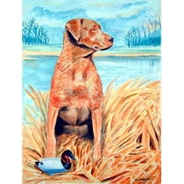 Chesapeake Bay Retriever Flag - Garden Size, 11 x 15 in.