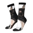 thumbnail image 1 of Balery Black And White Boston Terrier Calcetas Largas con Estampado para Hombre y Mujer – Suaves y Transpirables, Talla Única (US 5-11), 1 of 6