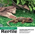thumbnail image 2 of MCLANZOO 2 Pack Reptile Carpet 30*12 in Pet Terrarium Liner for Snakes Chameleons  Geckos with Tweezers Feeding Tongs, 2 of 4