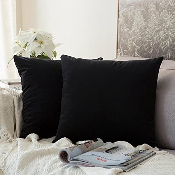 Eryueer Velvet Soft Decorative Square Throw Pillow Case Cushion Covers Pillowcases for Livingroom Sofa Bedroom with Invisible Zipper 60cmx60cm 24x24 Inch 2 Pieces Black