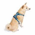 thumbnail image 3 of YOULY Comfort Neoprene Dog Harness Blue X-Large, 3 of 8