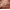 Brown, variant on Snake Print Boots Men's Cowboy Boots Men's Retro Western Boots Men Cowboy Style Mid-Calf Western Cowboy Boots